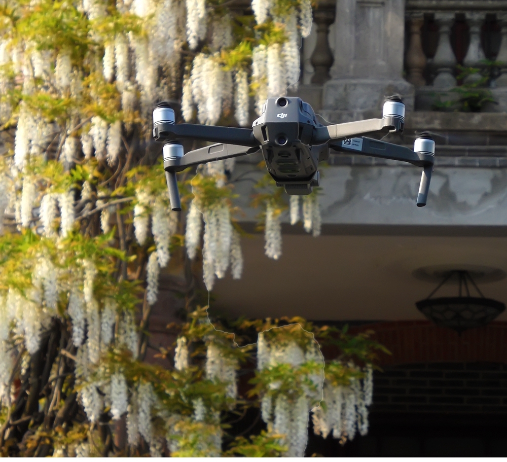 SAM_1008_副本 .jpg