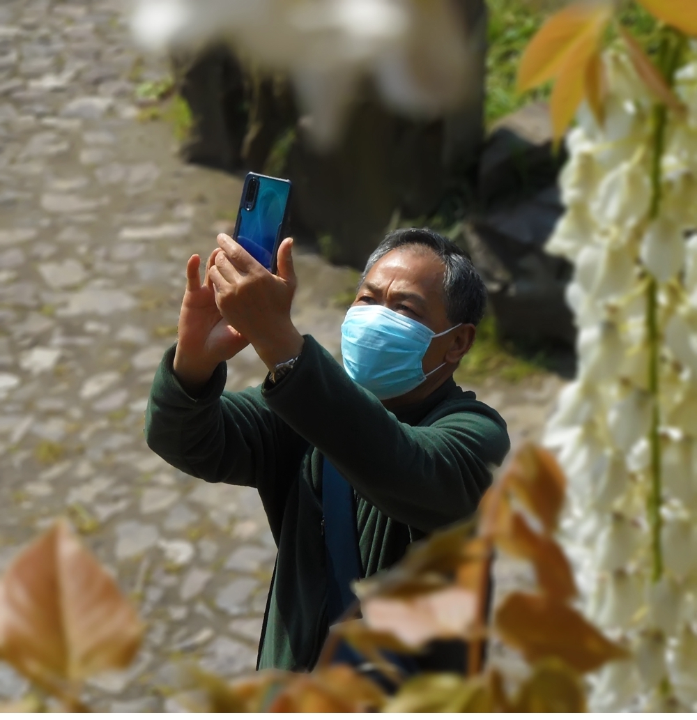 SAM_9919_副本 .jpg