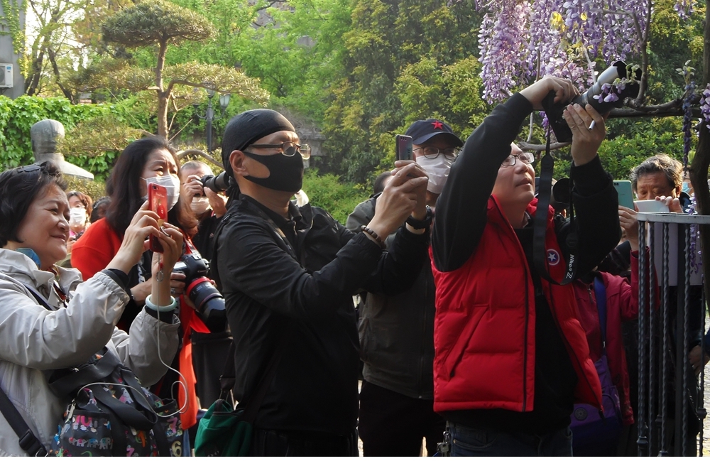 SAM_1115_副本 .jpg