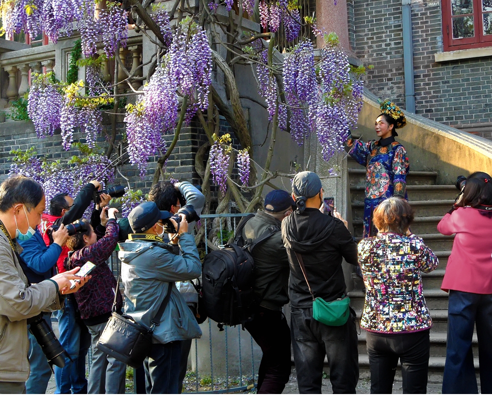 SAM_1109_副本 .jpg