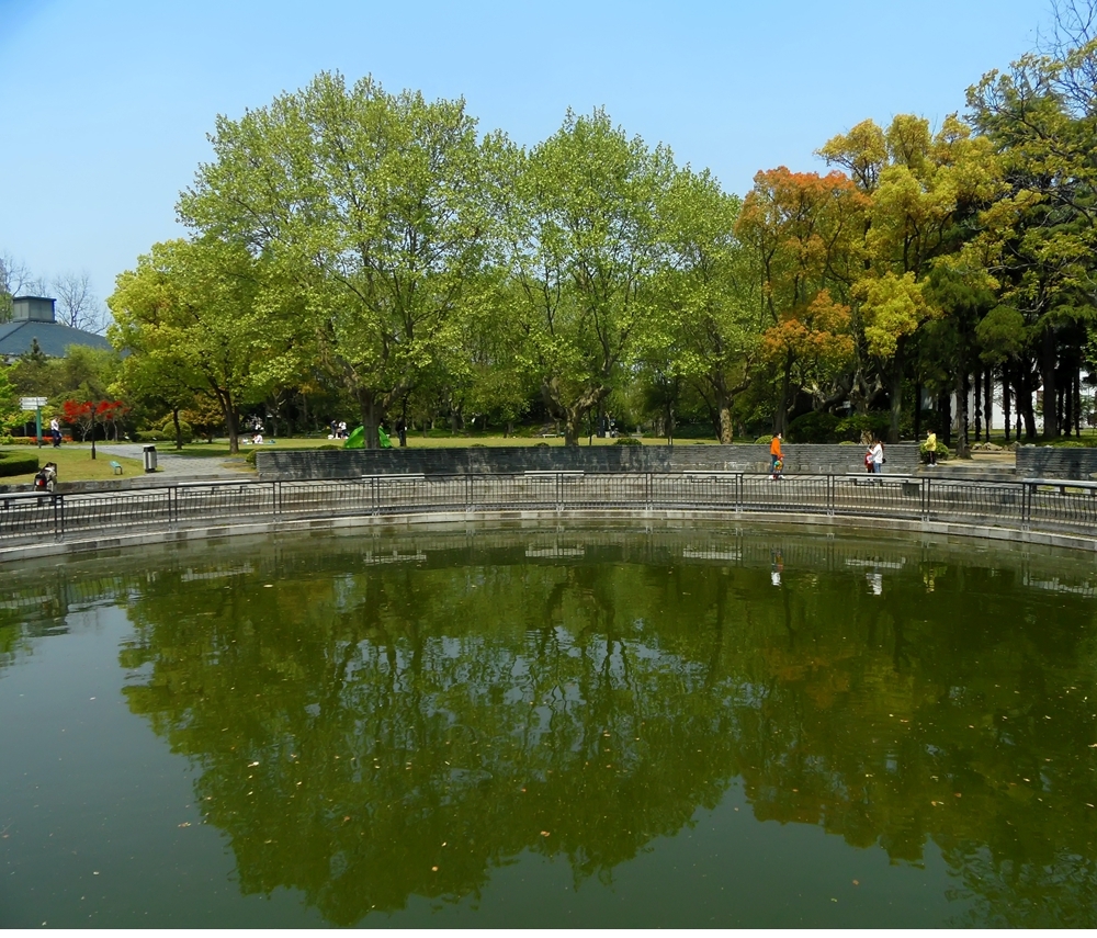 SAM_9519_副本 .jpg