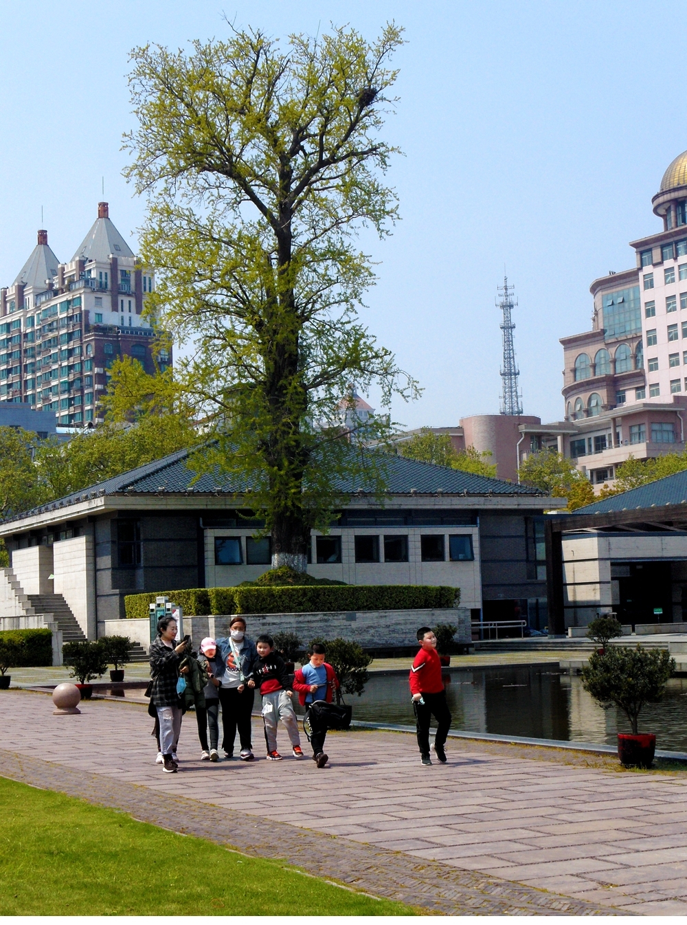 SAM_9500_副本 .jpg