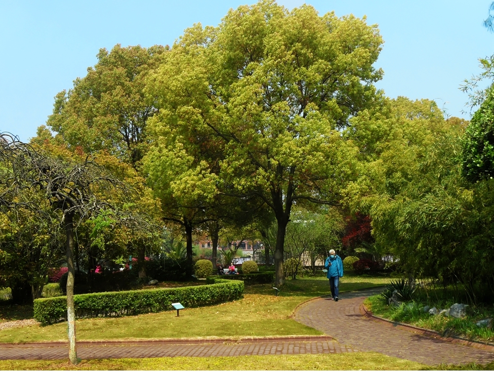 SAM_9418_副本 .jpg