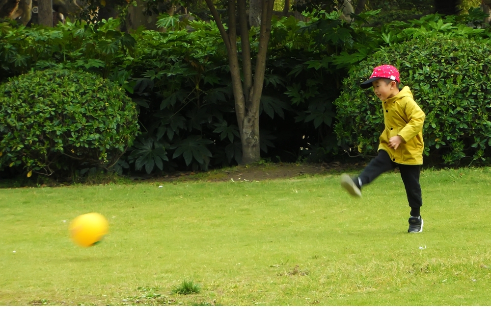 SAM_0618_副本 .jpg