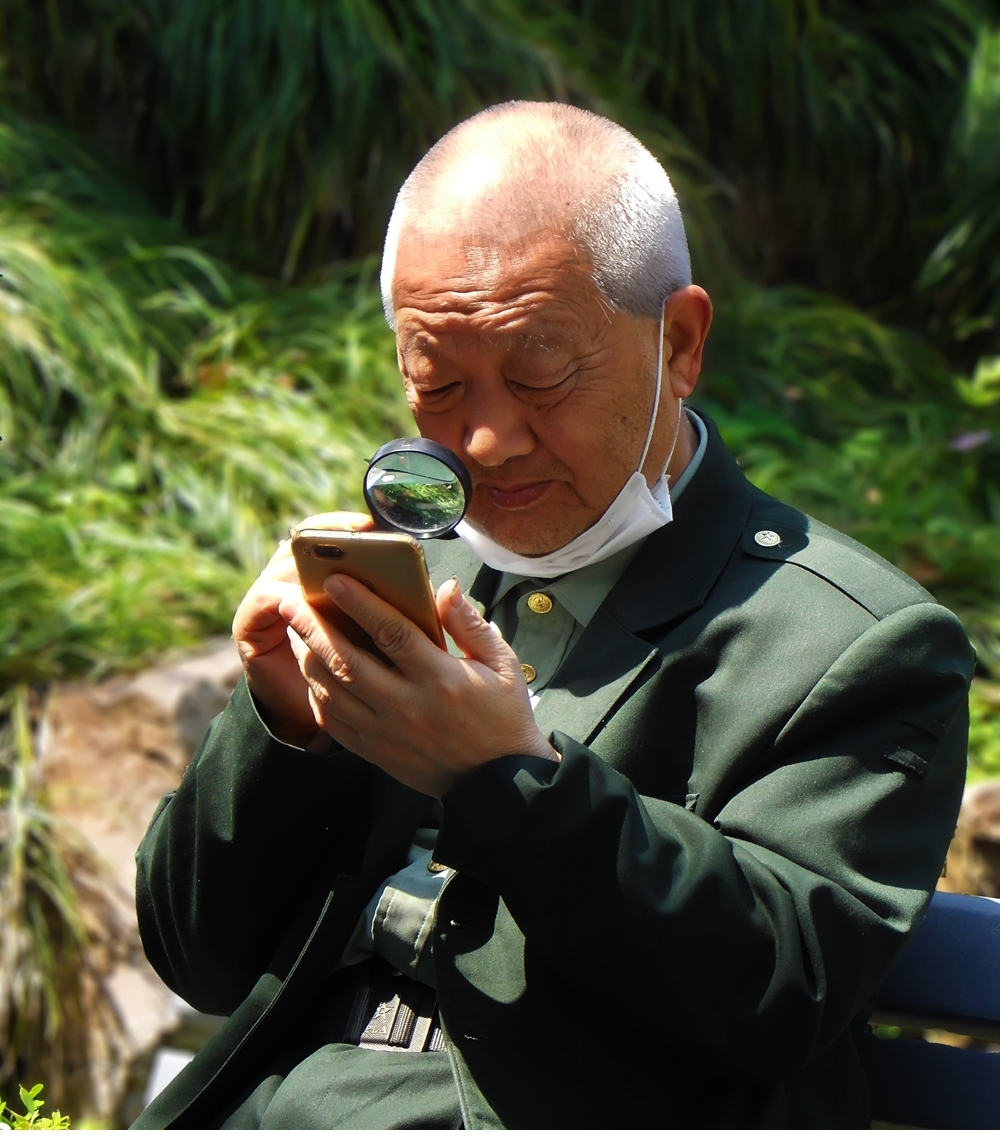 SAM_2687_副本 .jpg