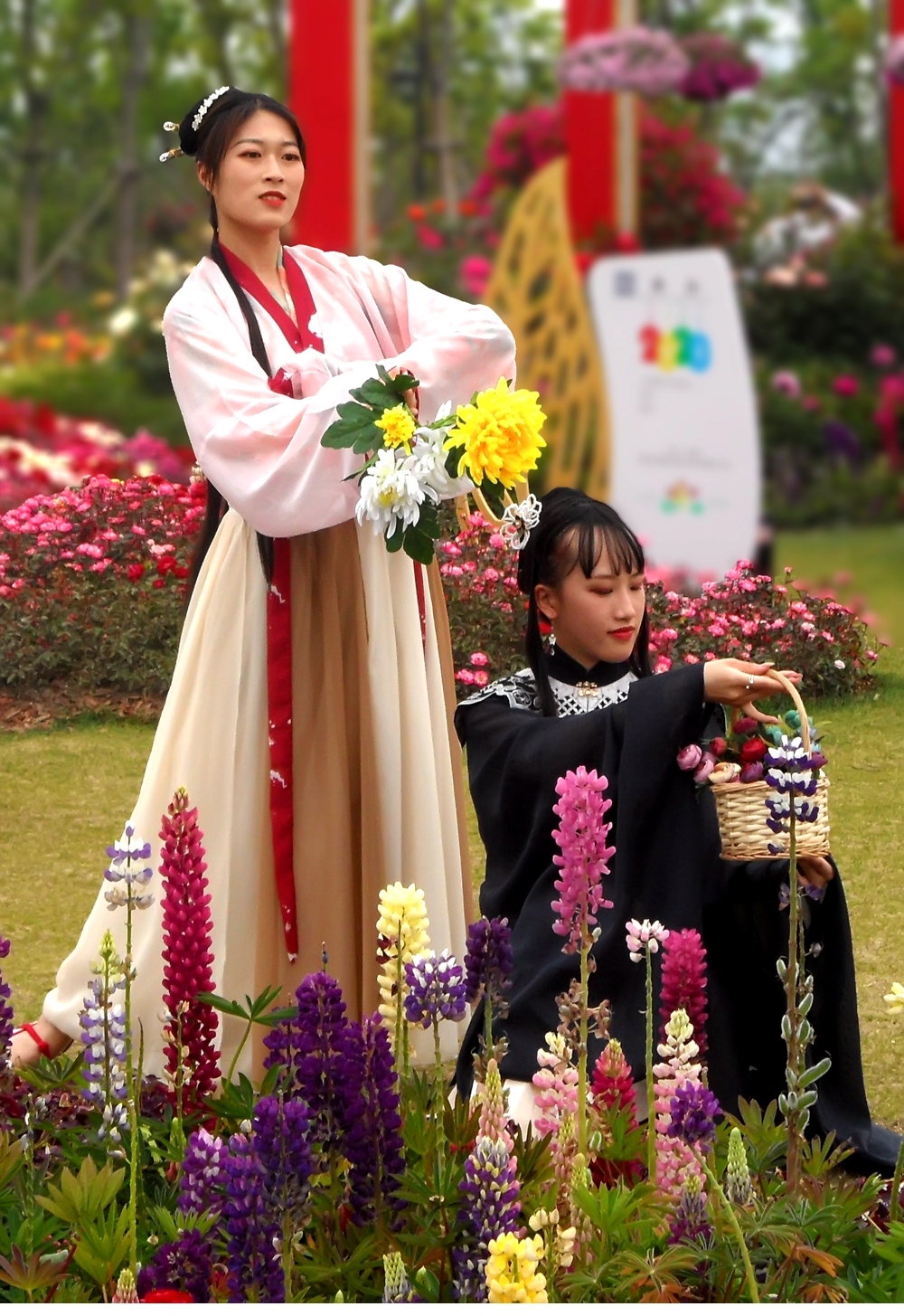 SAM_4294_副本 .jpg