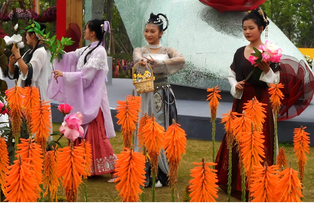 SAM_4277_副本 .jpg