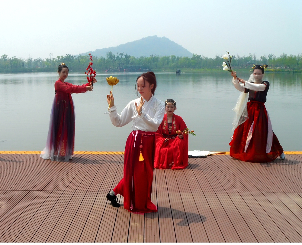 SAM_4833_副本 .jpg