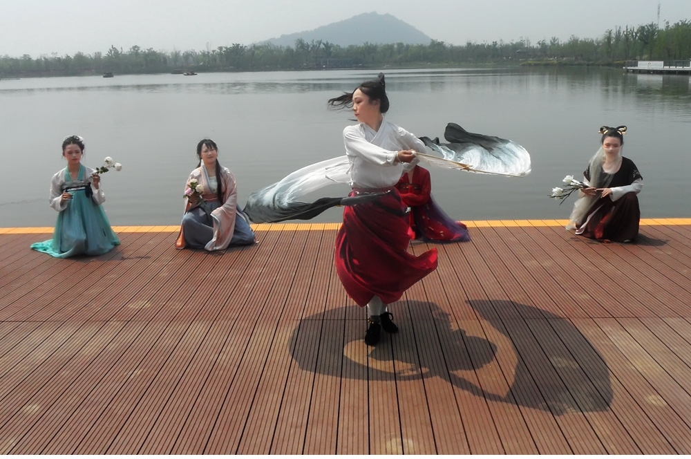 SAM_4867_副本 .jpg