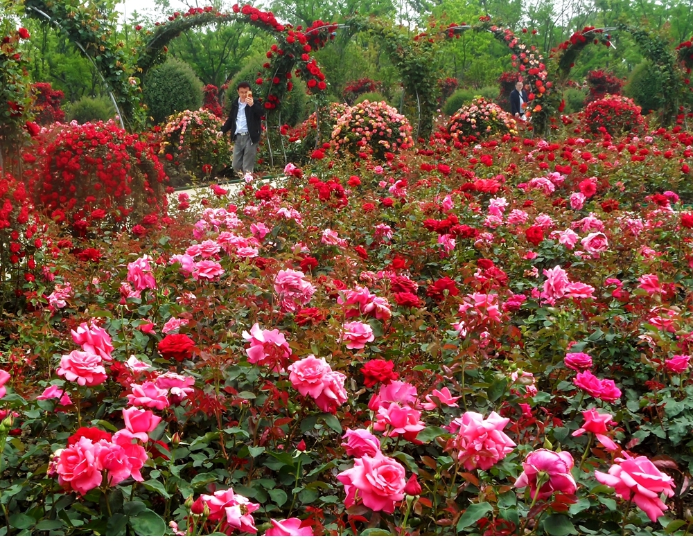 SAM_5859_副本 .jpg