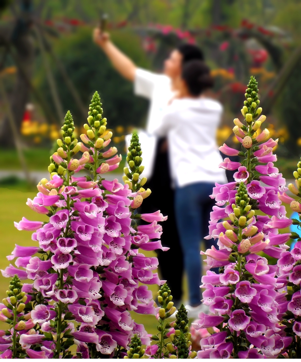 SAM_4360_副本 .jpg