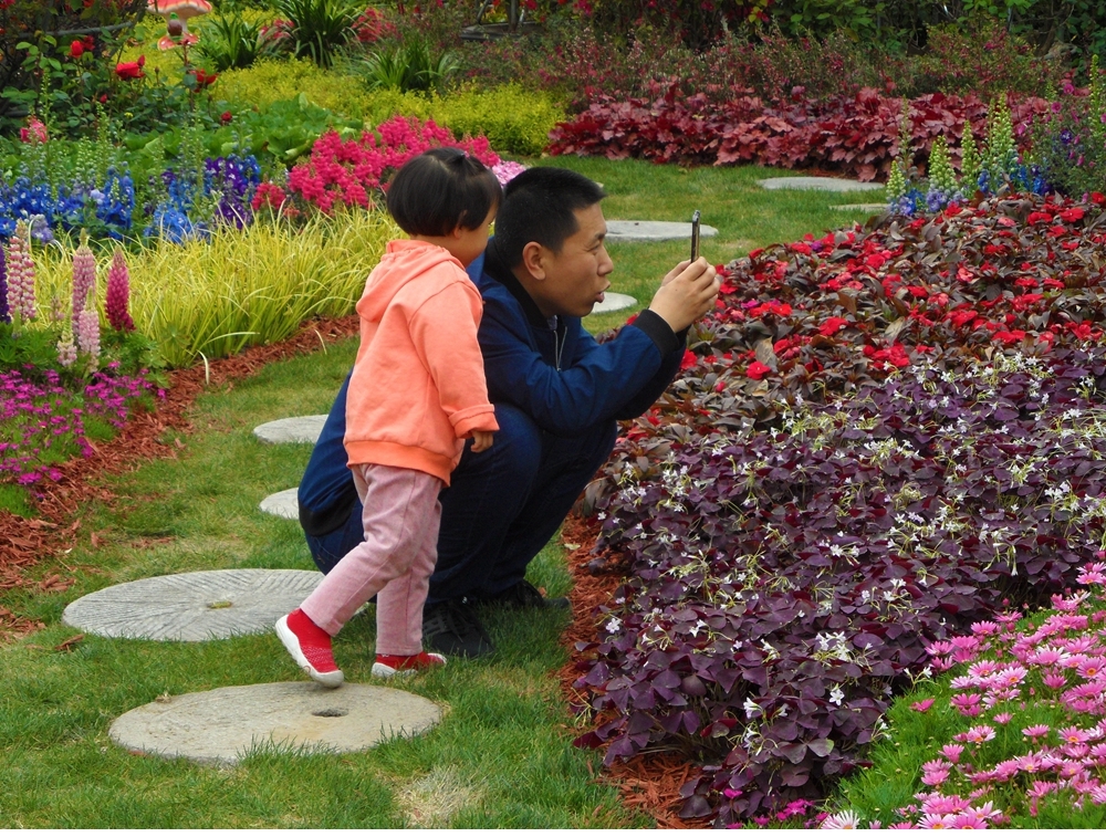 SAM_1557_副本 .jpg