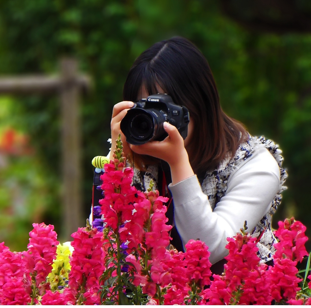 SAM_1721_副本 .jpg