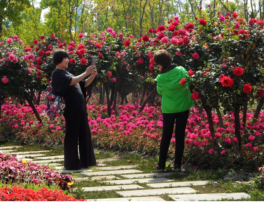 SAM_3840_副本 .jpg