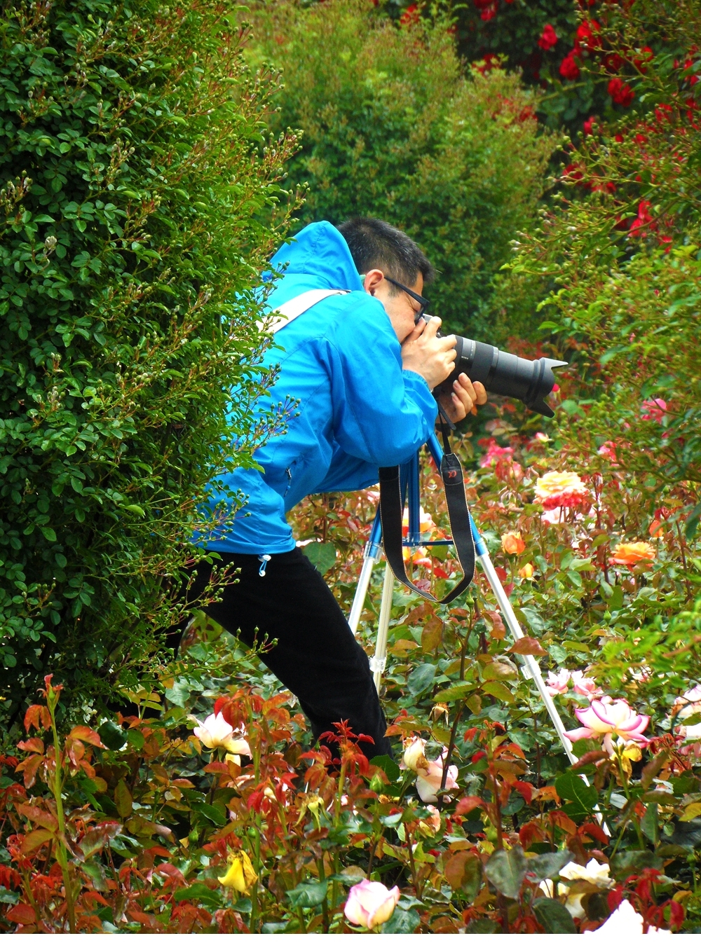 SAM_5837_副本 .jpg