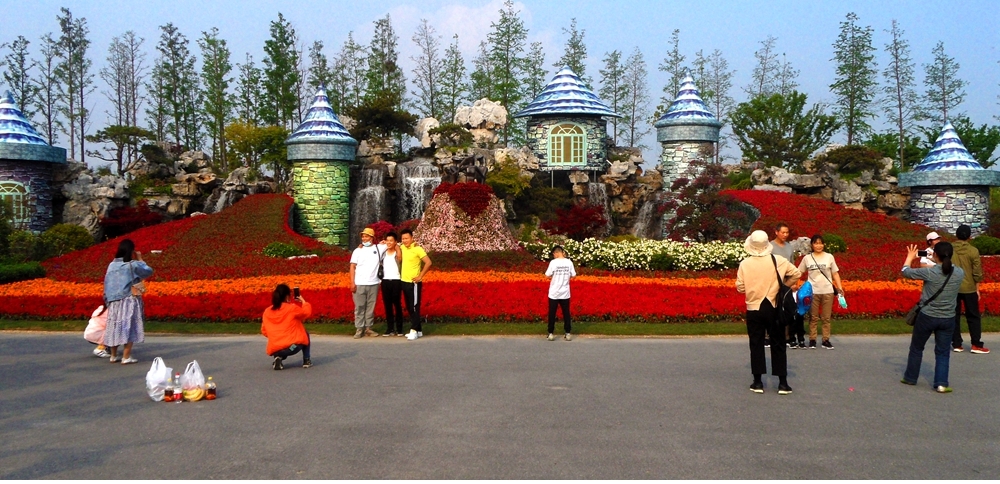 SAM_4533_副本 .jpg