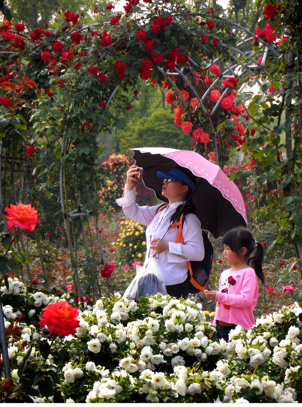 SAM_4608_副本 .jpg