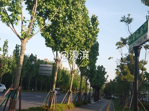 1畅行城山路，与绿色为伴.jpg