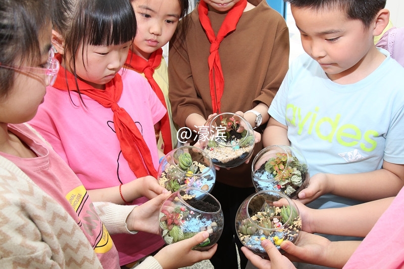 濠西社区：小小生态瓶 生命大世界4.jpg