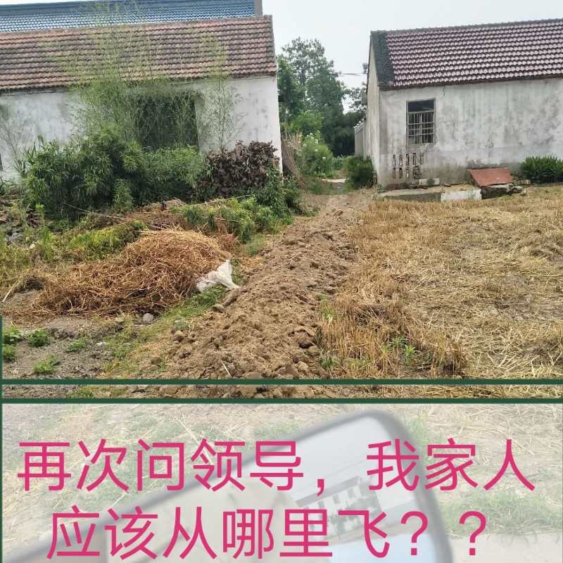 现农忙，农资都到不了田间