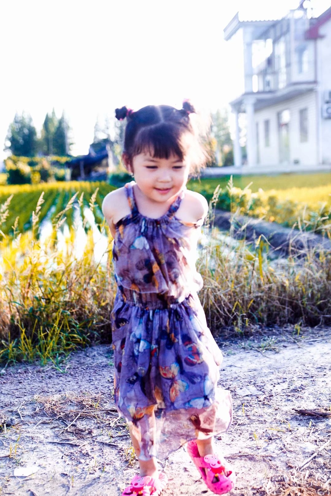 小时候在田里玩给拍的