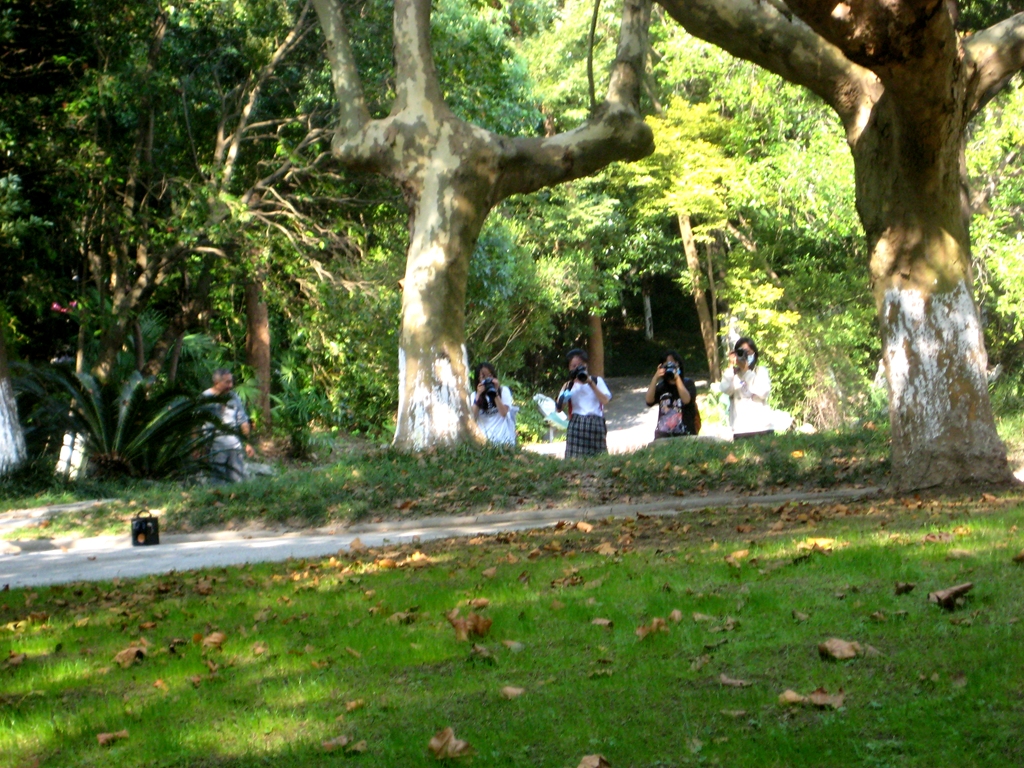 IMG_2709 - 星速看图王_副本.jpg