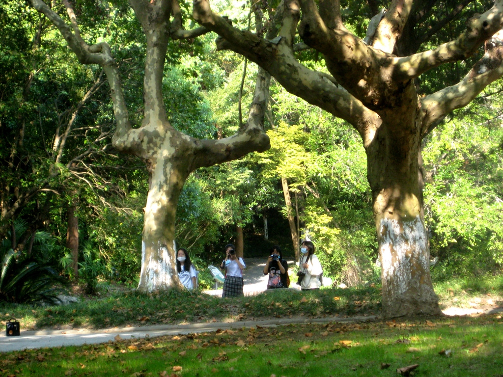 IMG_2712 - 星速看图王_副本.jpg