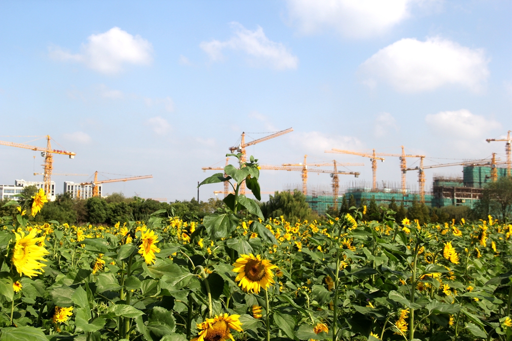 IMG_3933 - 星速看图王.JPG