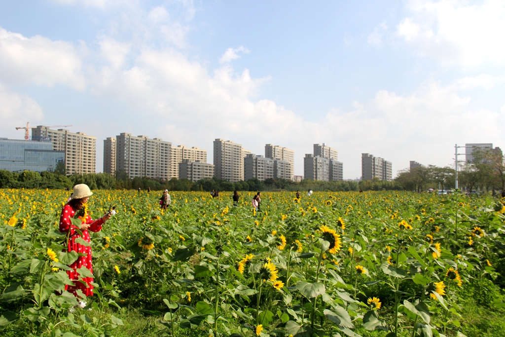 IMG_3942 - 星速看图王_副本.jpg