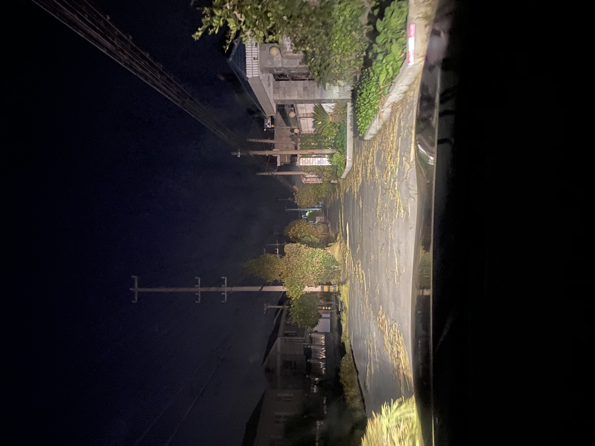 秸秆点缀的路面