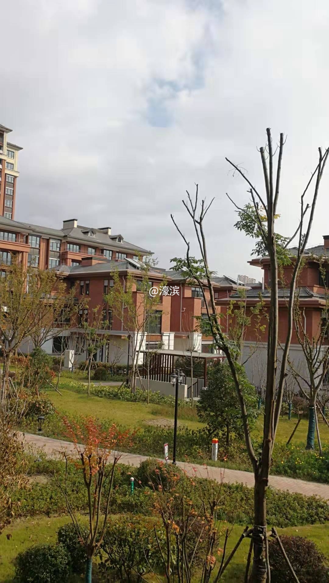 ▼这里是20栋联排