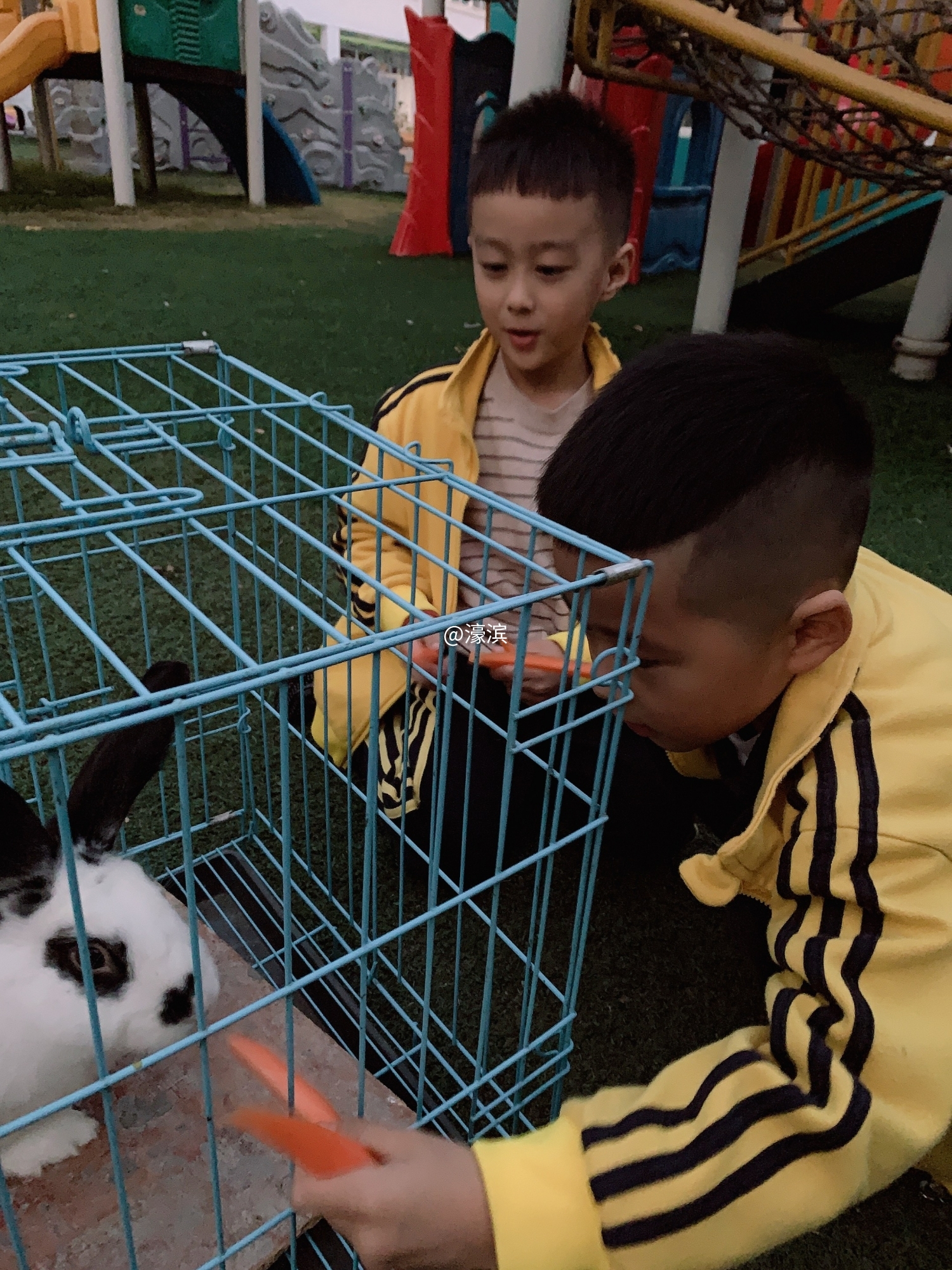 3.喂小兔 (1).JPEG