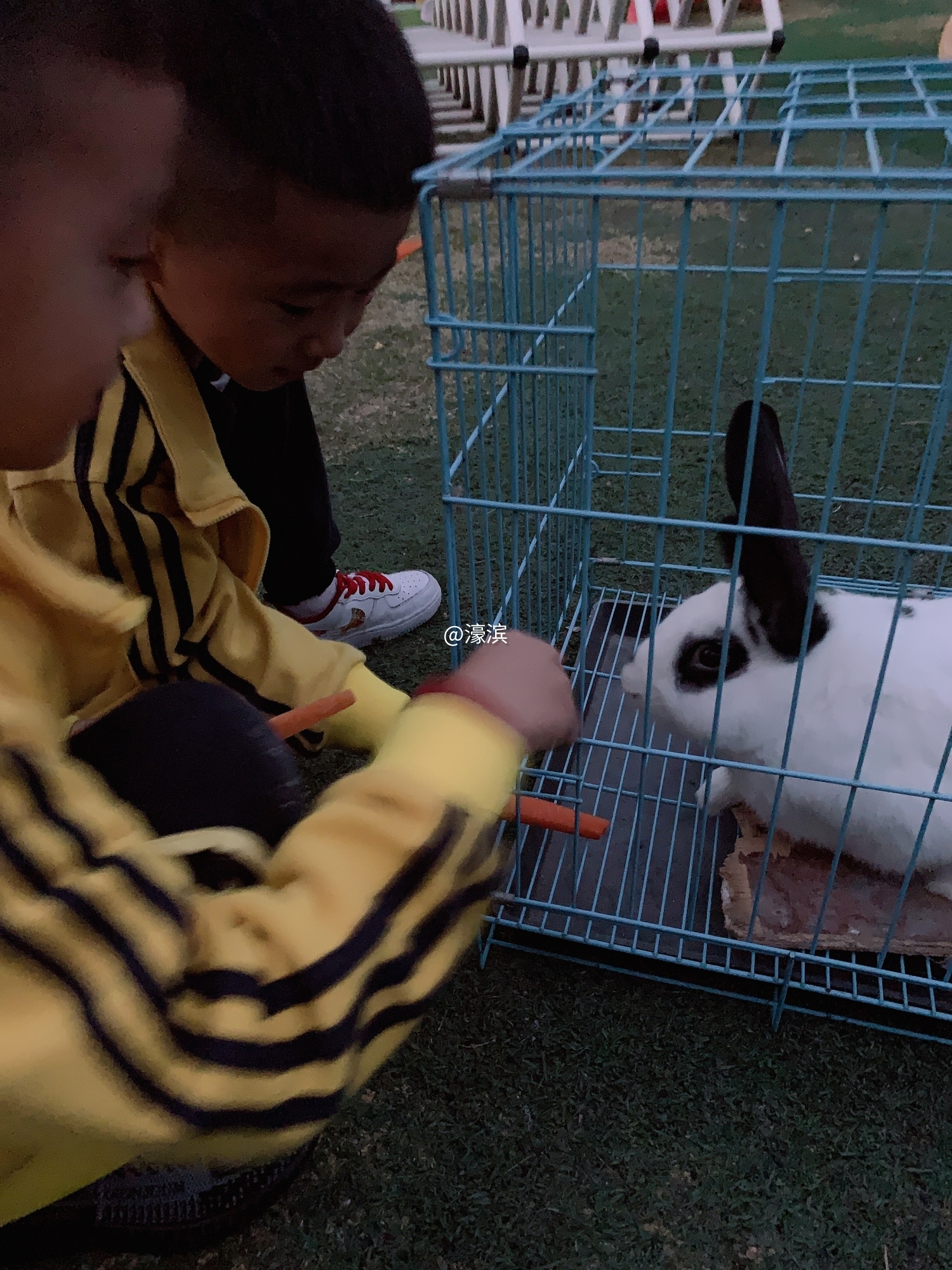 3.喂小兔 (2).JPEG