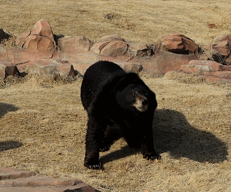 GIF 2021-7-30 9-12-33.gif