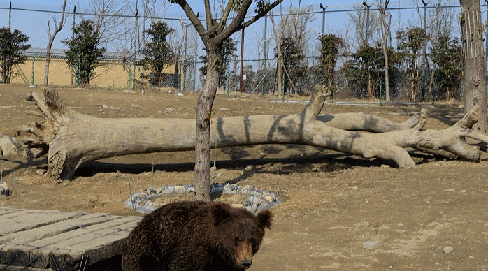 GIF 2021-7-31 16-43-48.gif