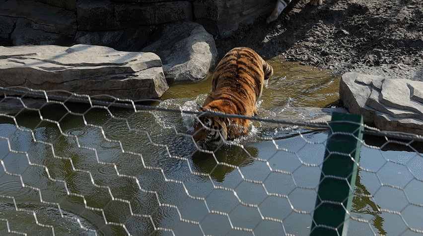 GIF 2021-7-31 16-44-57.gif