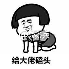 给大佬磕头.jpg