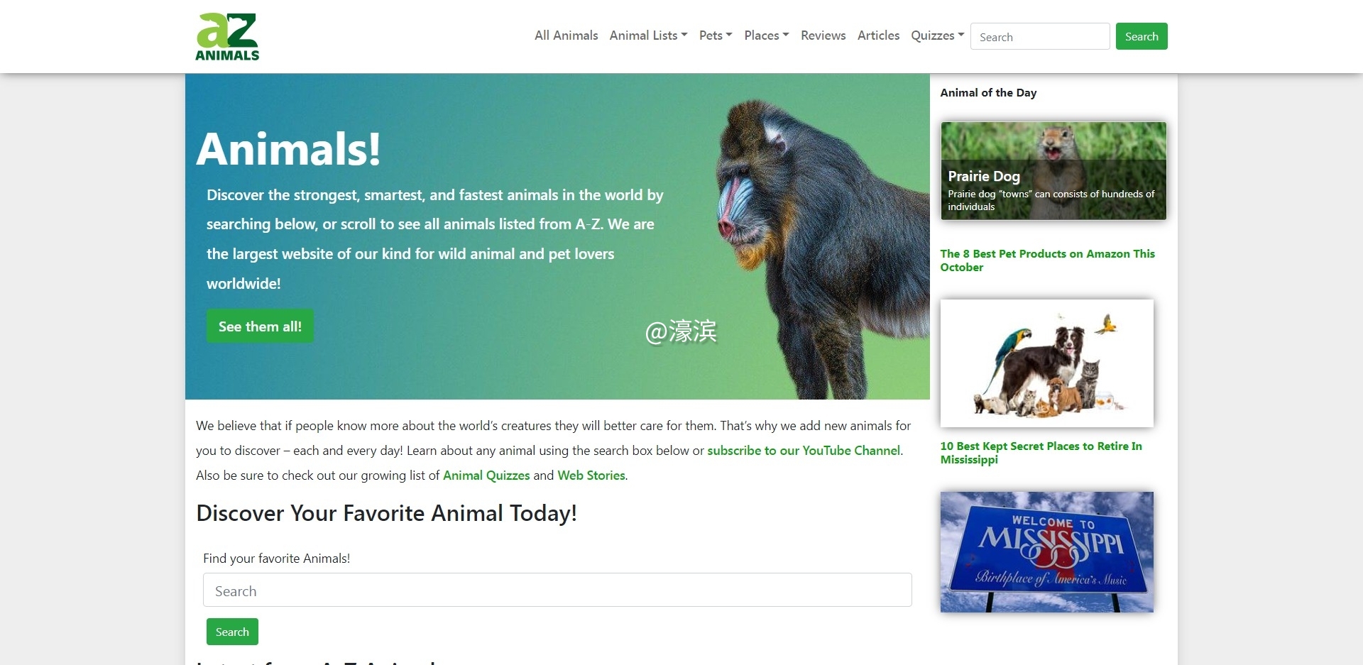 FireShot Capture 032 - Animal Encyclopedia With Facts, Pictures, Definitions, an.jpg