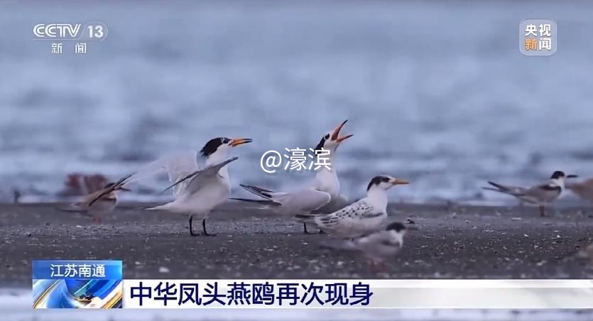 QQ浏览器截图20240802195650.jpg