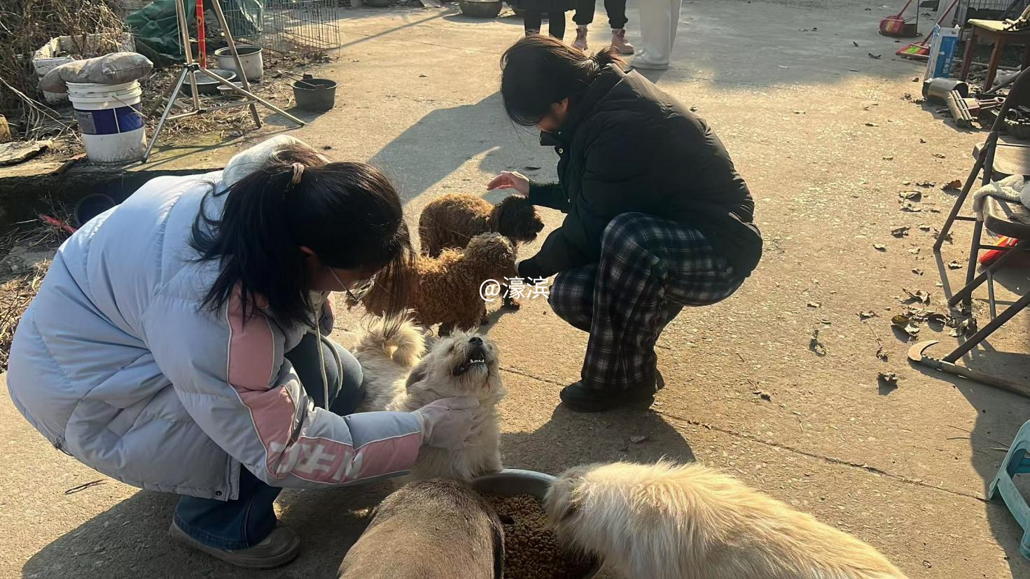 1c854ad47ffd75a5dda65a901aab36d3.png 图片 2.png