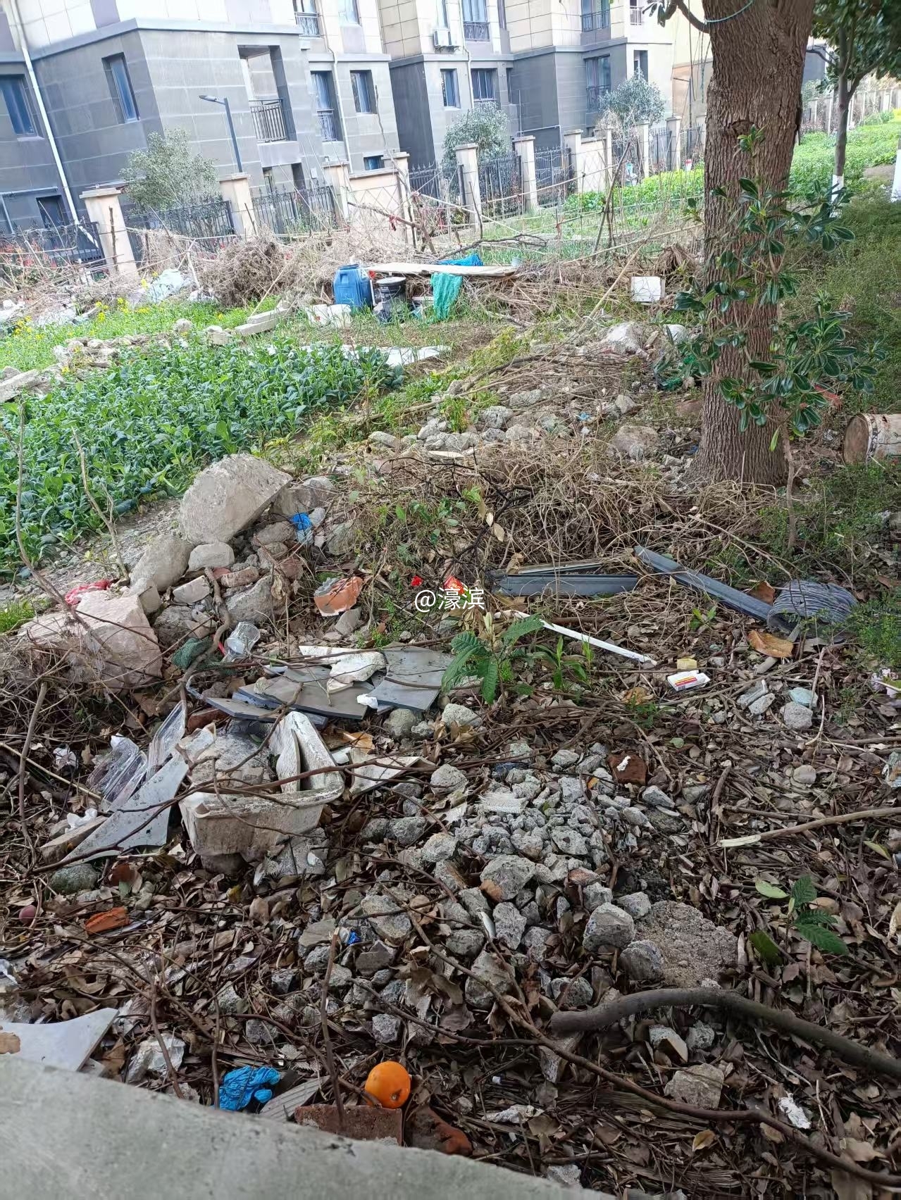 相邻永和路围墙外