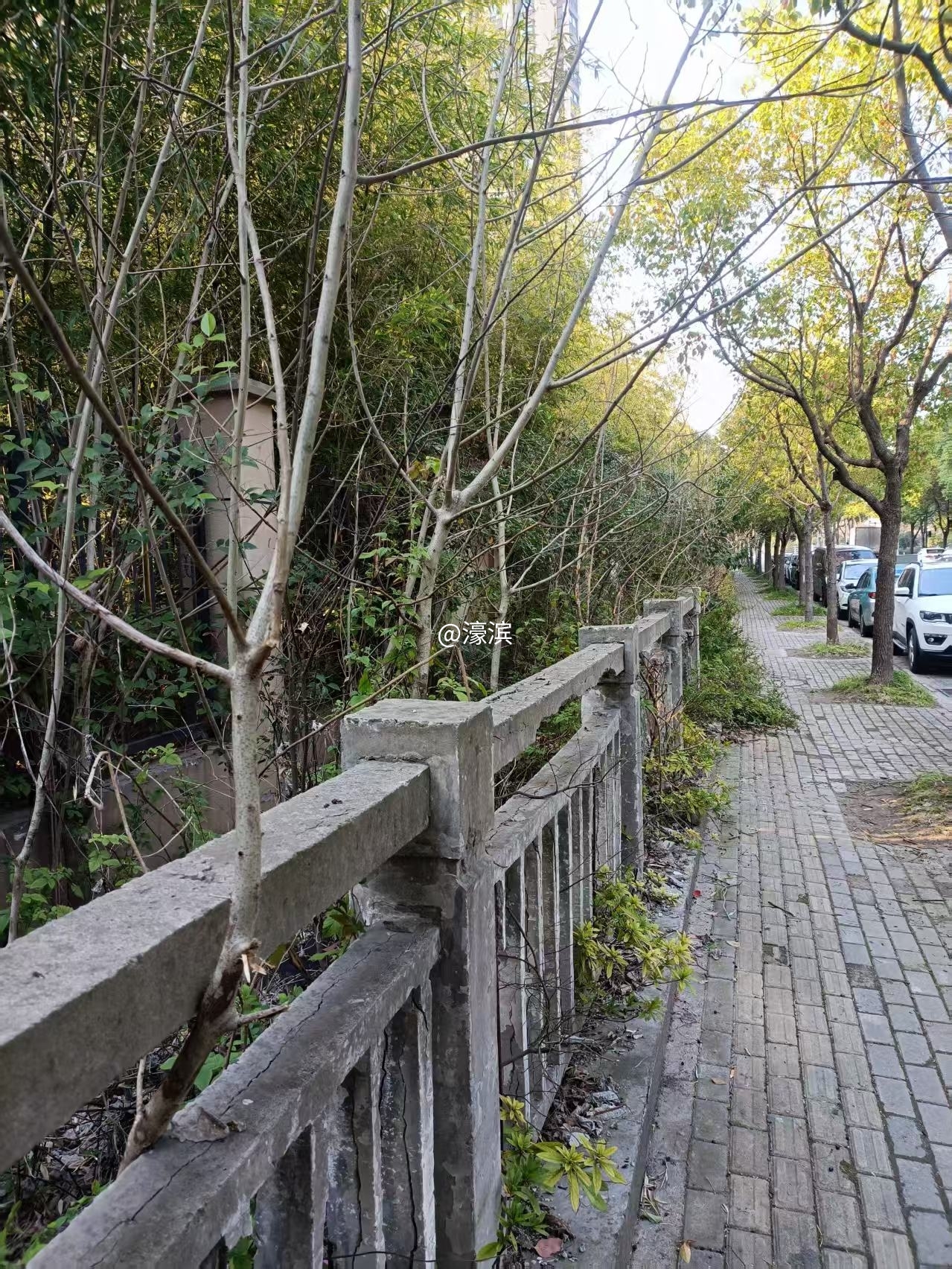 相邻学贤路围墙外