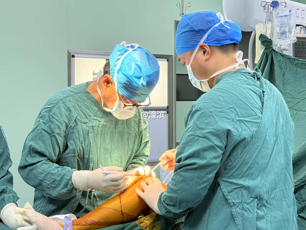 04562c4c699d24a0eb8a0b4a73fa40a7.png 图片 3.png