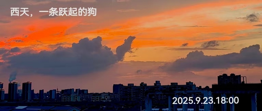 微信图片_20250925175845_280_2_副本.jpg