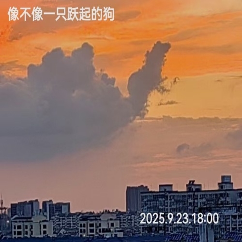 微信图片_20250925175809_279_2_副本.jpg