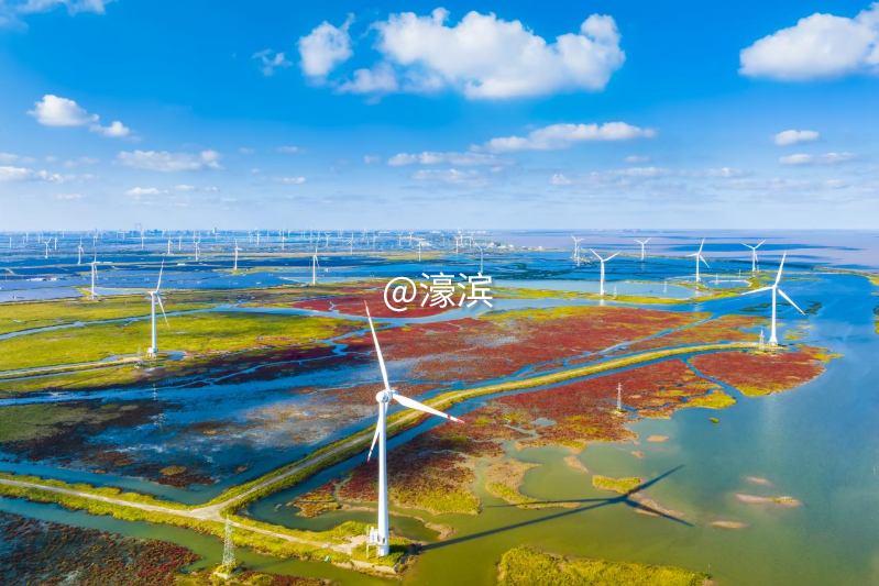 23eab2da5a268cdcbc77b286329e7014.png image.png