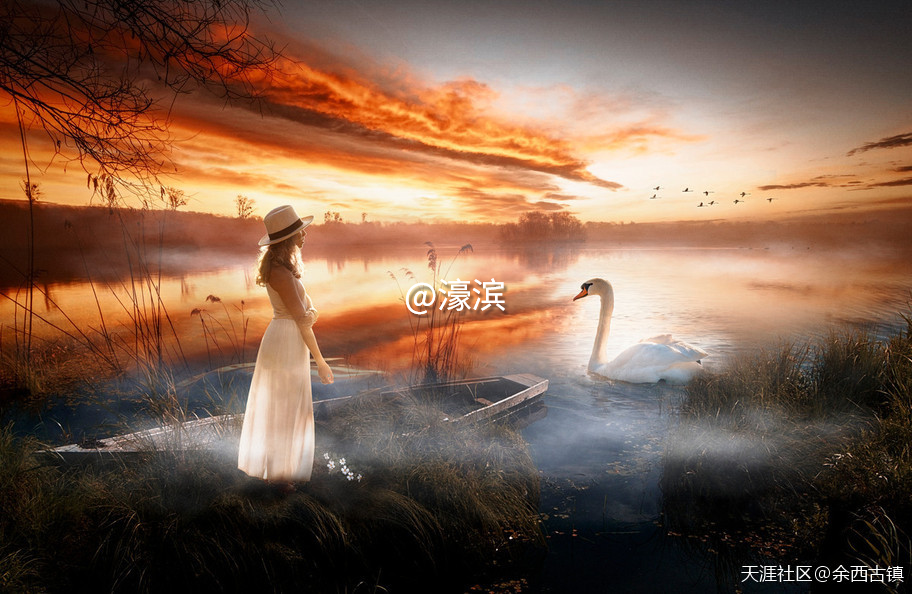 图片61.png 图片61.png