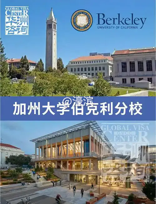 p102365155.webp (2).png