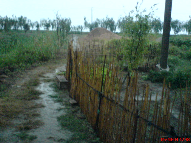 【手机掠影】~~~烟雨迷朦踏三山~~~