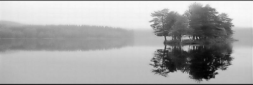 秋光老尽，故人千里``